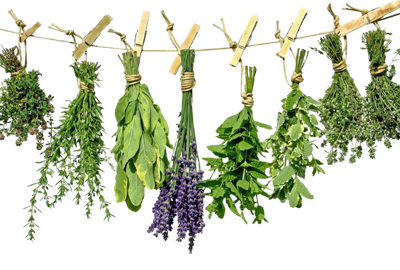 Купить лекартсвенное сырье